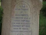 image of grave number 961061